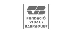 Logo-Fund-Vidal-i-Barraquer