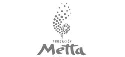 Logo Metta-g
