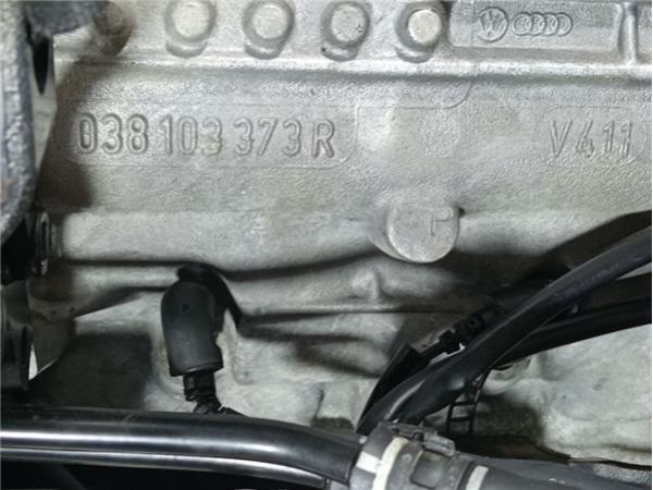 MOTOR COMPLETO Volkswagen Passat Berlina (3B3)(2000-) 1.9 Trendline [1,9 Ltr. - 96 kW TDI] - 36180 / 80HBH V300