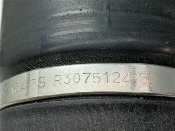 BALONA NEUMATICA TRA. IZDA. Citroen C4 2.0 HDI PICASSO I (136CV) (2006 2013) (100 KW) - 38799 / F307512401