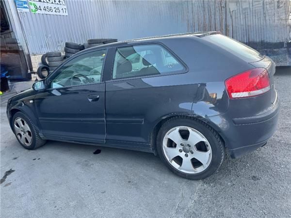 JUEGO NEUMATICOS Audi A3 (8P1)(05.2003-) 2.0 TDI 16V - 39666 2
