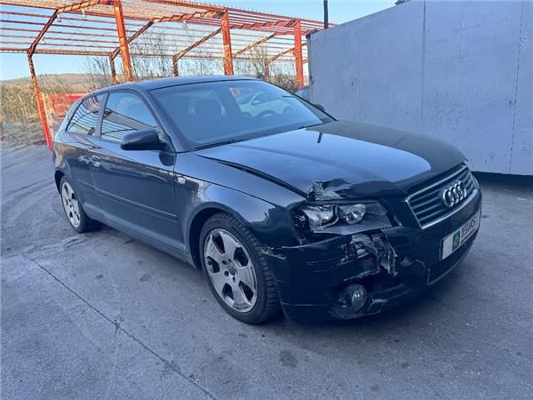 JUEGO NEUMATICOS Audi A3 (8P1)(05.2003-) 2.0 TDI 16V - 39666