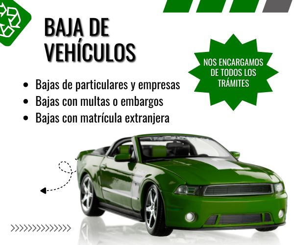 Tasaci&oacute;n y baja