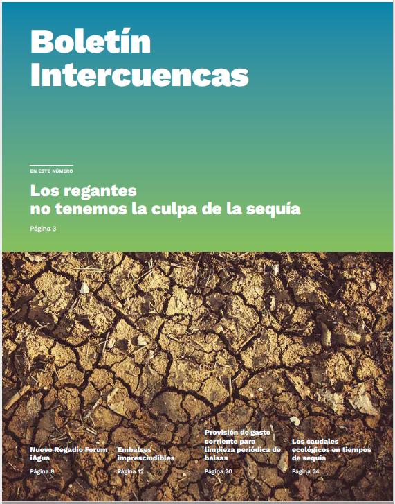 Boletín Intercuencas Septiembre 2022