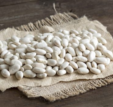 ALUBIAS BLANCAS RIÑON
