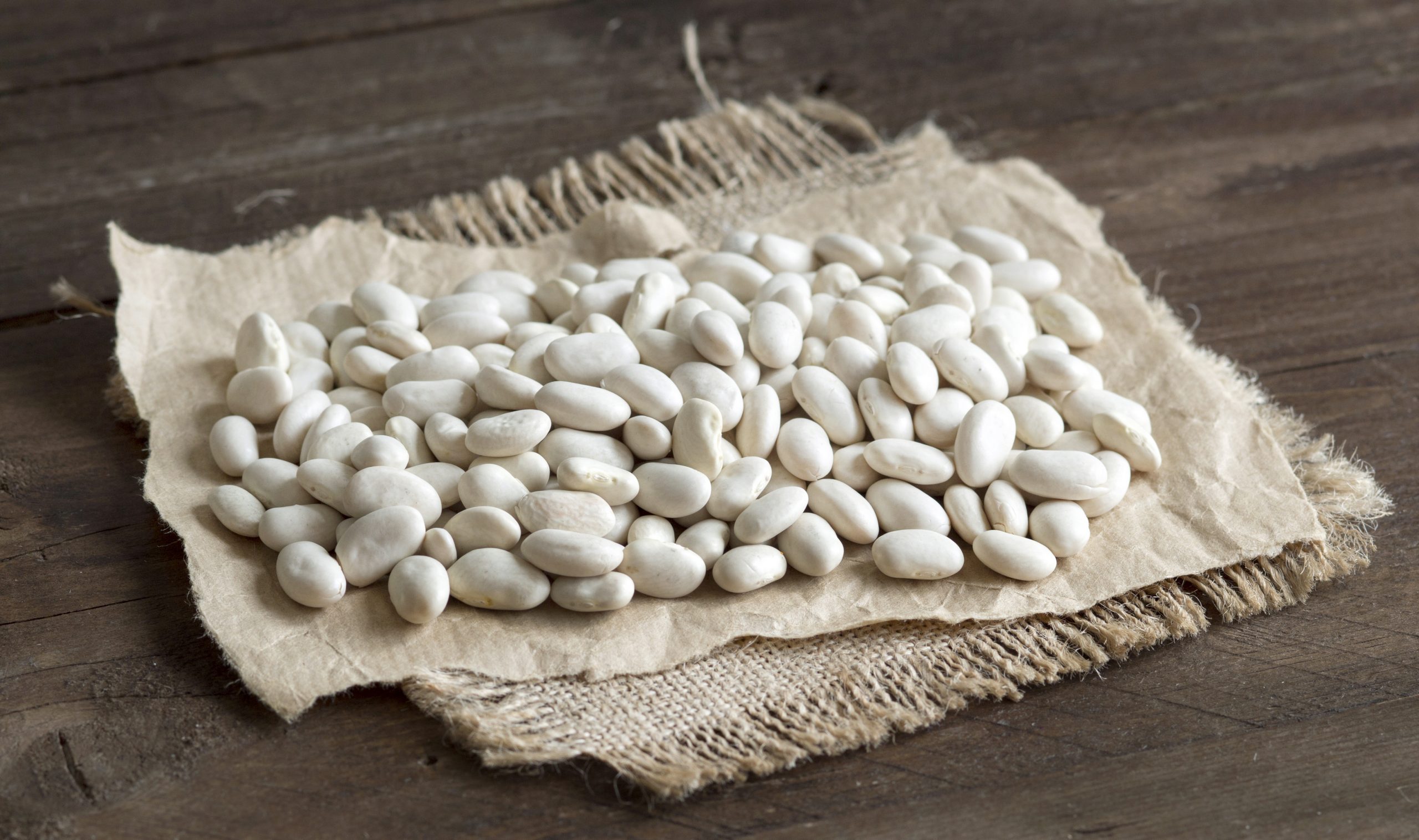 ALUBIAS BLANCAS RIÑON ALUBIAS BLANCAS RIÑON