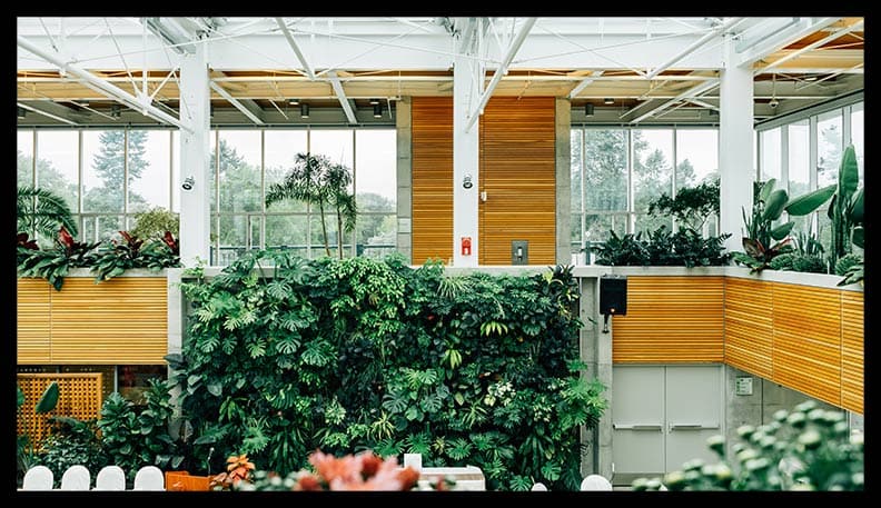 Nebulizador al aire libre