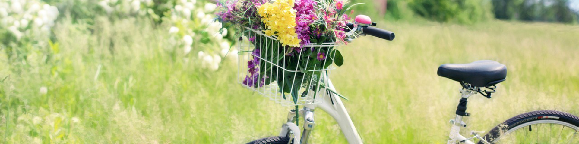 Fragancia Primaveral - Bicicleta con flores en el campo