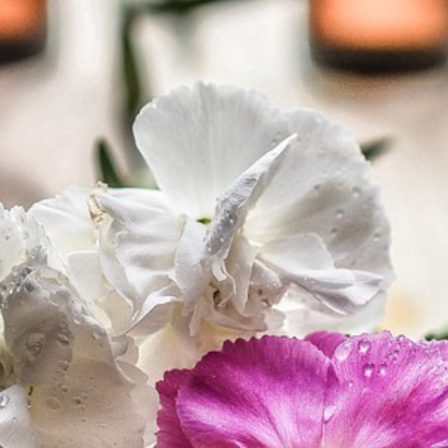 Tarros con ambientadores y flores