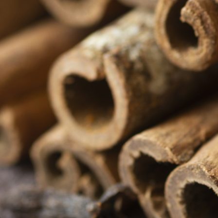 high-angle-arrangement-with-nuts-cinnamon-sticks (2)