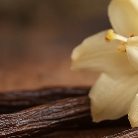 vanilla-flowers-sticks-wooden-table