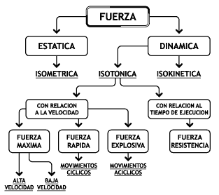 tipos de fuerza
