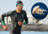 ¿Cómo evitar las picaduras de medusas en aguas abiertas? ¿Cómo evitar las picaduras de medusas en aguas abiertas?