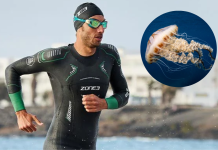 ¿Cómo evitar las picaduras de medusas en aguas abiertas? ¿Cómo evitar las picaduras de medusas en aguas abiertas?