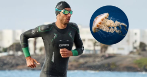 ¿Cómo evitar las picaduras de medusas en aguas abiertas?