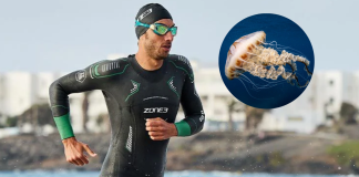 ¿Cómo evitar las picaduras de medusas en aguas abiertas? ¿Cómo evitar las picaduras de medusas en aguas abiertas?