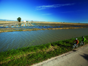ebre 1